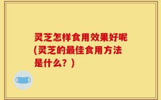 灵芝怎样食用效果好呢(灵芝的最佳食用方法是什么？)