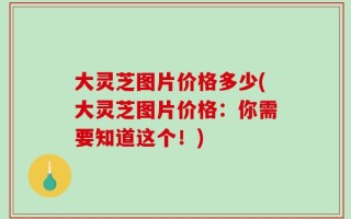 大灵芝图片价格多少(大灵芝图片价格：你需要知道这个！)