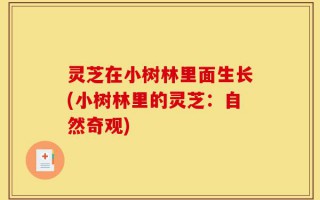 灵芝在小树林里面生长(小树林里的灵芝：自然奇观)