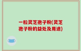 一粒灵芝孢子粉(灵芝孢子粉的益处及用途)