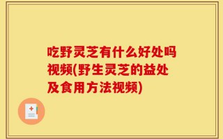 吃野灵芝有什么好处吗视频(野生灵芝的益处及食用方法视频)