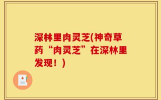 深林里肉灵芝(神奇草药“肉灵芝”在深林里发现！)