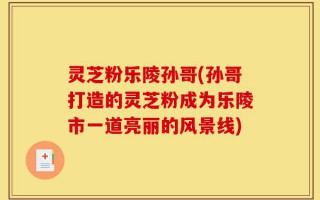 灵芝粉乐陵孙哥(孙哥打造的灵芝粉成为乐陵市一道亮丽的风景线)