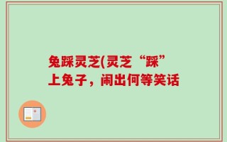 兔踩灵芝(灵芝“踩”上兔子，闹出何等笑话
