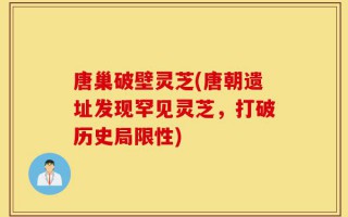 唐巢破壁灵芝(唐朝遗址发现罕见灵芝，打破历史局限性)