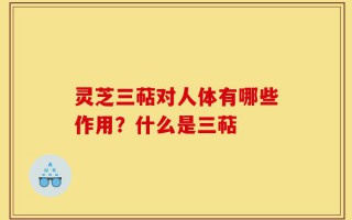 灵芝三萜对人体有哪些作用？什么是三萜