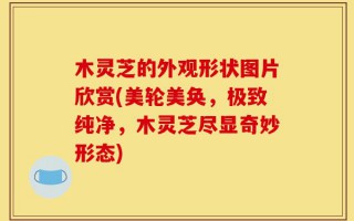 木灵芝的外观形状图片欣赏(美轮美奂，极致纯净，木灵芝尽显奇妙形态)