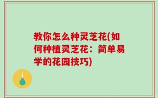 教你怎么种灵芝花(如何种植灵芝花：简单易学的花园技巧)