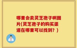 哪里会卖灵芝孢子啊图片(灵芝孢子的购买渠道在哪里可以找到？)