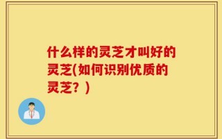 什么样的灵芝才叫好的灵芝(如何识别优质的灵芝？)