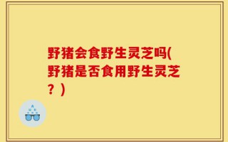 野猪会食野生灵芝吗(野猪是否食用野生灵芝？)