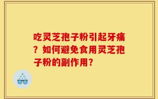 吃灵芝孢子粉引起牙痛？如何避免食用灵芝孢子粉的副作用？