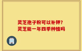 灵芝孢子粉可以补钾？灵芝能一年四季种植吗