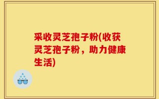 采收灵芝孢子粉(收获灵芝孢子粉，助力健康生活)