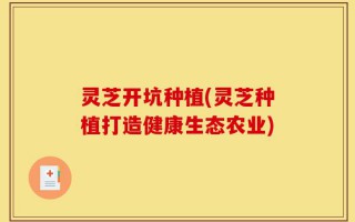 灵芝开坑种植(灵芝种植打造健康生态农业)