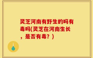 灵芝河南有野生的吗有毒吗(灵芝在河南生长，是否有毒？)