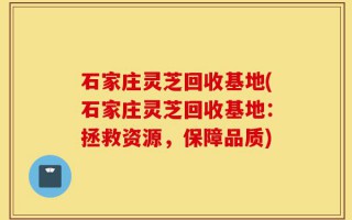 石家庄灵芝回收基地(石家庄灵芝回收基地：拯救资源，保障品质)