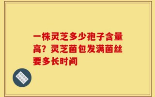 一株灵芝多少孢子含量高？灵芝菌包发满菌丝要多长时间