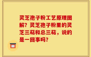 灵芝孢子粉工艺原理图解？灵芝孢子粉里的灵芝三萜和总三萜，说的是一回事吗？