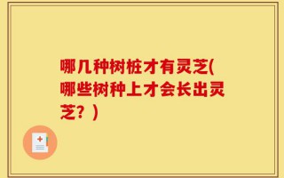哪几种树桩才有灵芝(哪些树种上才会长出灵芝？)