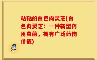 粘粘的白色肉灵芝(白色肉灵芝：一种新型药用真菌，拥有广泛药物价值)