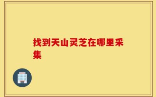 找到天山灵芝在哪里采集