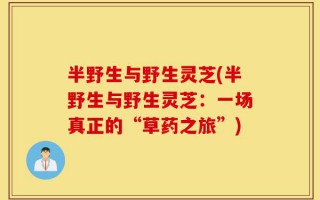 半野生与野生灵芝(半野生与野生灵芝：一场真正的“草药之旅”)