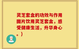灵芝套盒的功效与作用图片饮用灵芝套盒，感受健康生活，升华身心。)