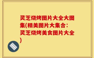 灵芝烧烤图片大全大图集(精美图片大集合：灵芝烧烤美食图片大全)