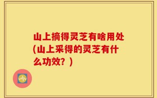 山上摘得灵芝有啥用处(山上采得的灵芝有什么功效？)