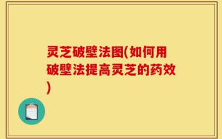 灵芝破壁法图(如何用破壁法提高灵芝的药效)