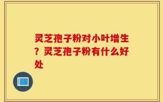 灵芝孢子粉对小叶增生？灵芝孢子粉有什么好处