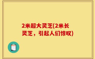 2米超大灵芝(2米长灵芝，引起人们惊叹)