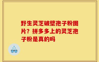 野生灵芝破壁孢子粉图片？拼多多上的灵芝孢子粉是真的吗