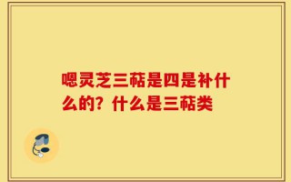嗯灵芝三萜是四是补什么的？什么是三萜类