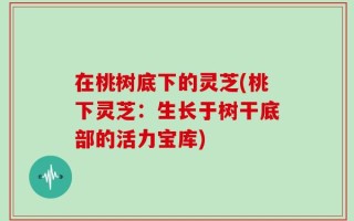 在桃树底下的灵芝(桃下灵芝：生长于树干底部的活力宝库)