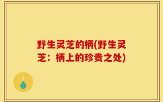 野生灵芝的柄(野生灵芝：柄上的珍贵之处)