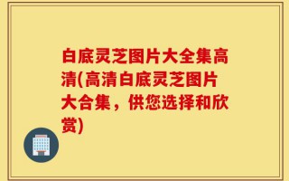 白底灵芝图片大全集高清(高清白底灵芝图片大合集，供您选择和欣赏)
