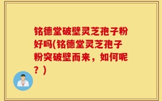 铭德堂破壁灵芝孢子粉好吗(铭德堂灵芝孢子粉突破壁而来，如何呢？)