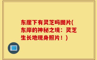 东崖下有灵芝吗图片(东岸的神秘之境：灵芝生长地现身照片！)