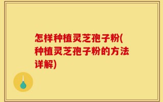 怎样种植灵芝孢子粉(种植灵芝孢子粉的方法详解)