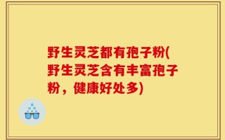 野生灵芝都有孢子粉(野生灵芝含有丰富孢子粉，健康好处多)