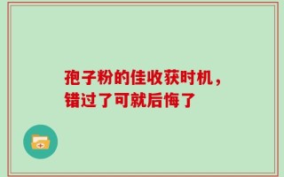 孢子粉的佳收获时机，错过了可就后悔了
