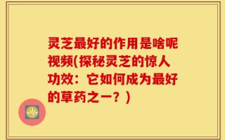 灵芝最好的作用是啥呢视频(探秘灵芝的惊人功效：它如何成为最好的草药之一？)