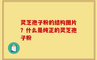 灵芝孢子粉的结构图片？什么是纯正的灵芝孢子粉