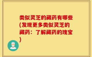 类似灵芝的藏药有哪些(发现更多类似灵芝的藏药：了解藏药的瑰宝)