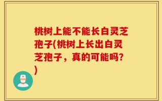 桃树上能不能长白灵芝孢子(桃树上长出白灵芝孢子，真的可能吗？)