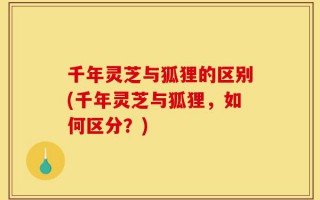 千年灵芝与狐狸的区别(千年灵芝与狐狸，如何区分？)