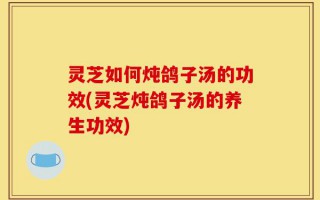 灵芝如何炖鸽子汤的功效(灵芝炖鸽子汤的养生功效)