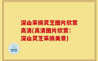深山采摘灵芝图片欣赏高清(高清图片欣赏：深山灵芝采摘美景)